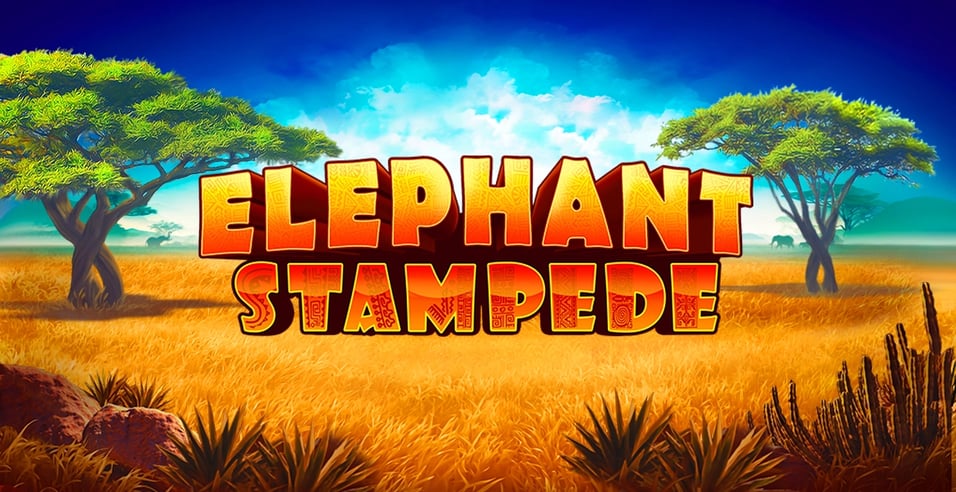 Elephant Stampede