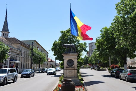 Romanian Flag