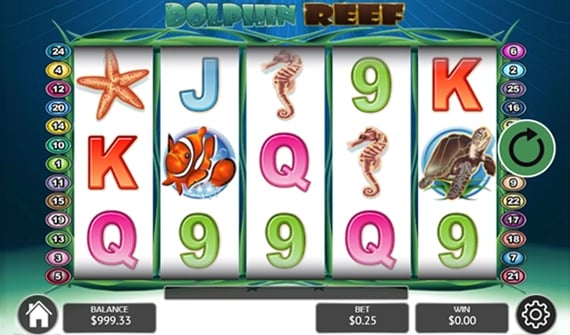 dolphin-reef-spin-more