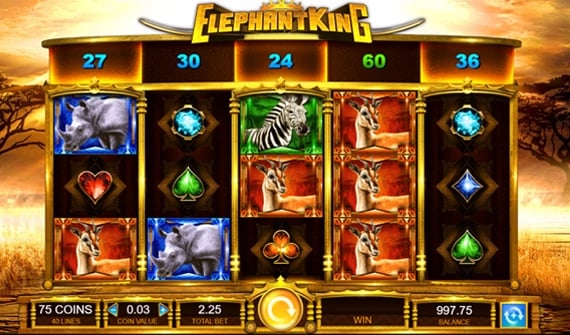 elephant-king-spin-more